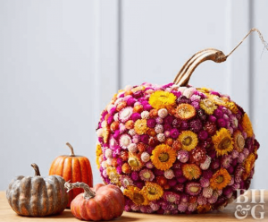 dried floral pumpkin