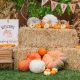 5 Fall Party Ideas for Kids